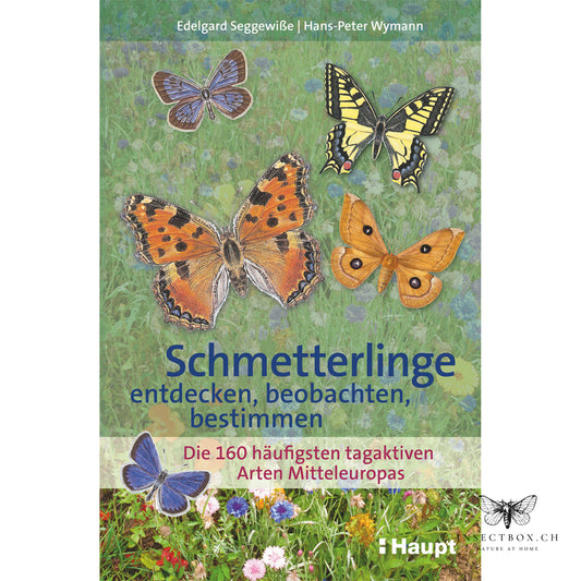 Schmetterlinge entdecken, beobachten, bestimmen