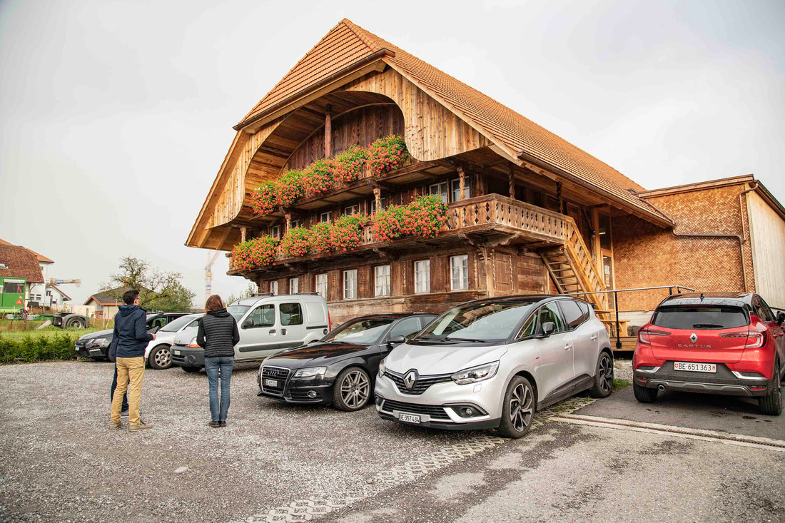 Restaurierung historischer Bauernmalerei und Fassadenmalerei in Seftigen