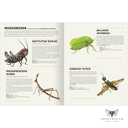 Le grand lexique des insectes (à nouveau disponible)