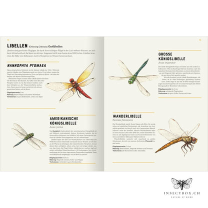 The big encyclopedia of insects (available again)