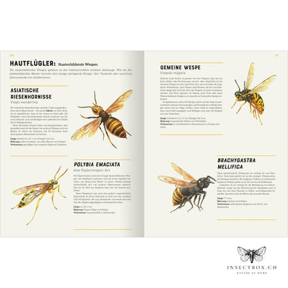 The big encyclopedia of insects (available again)