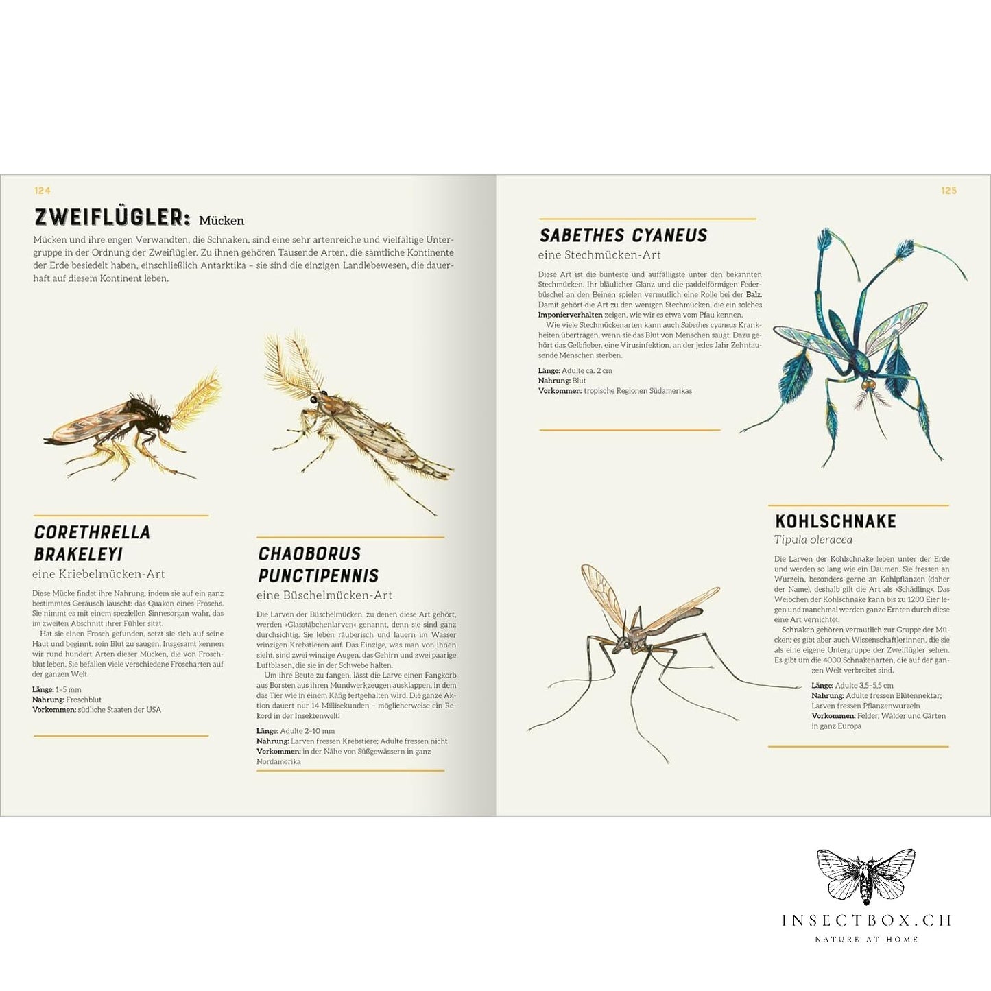 Le grand lexique des insectes (à nouveau disponible)