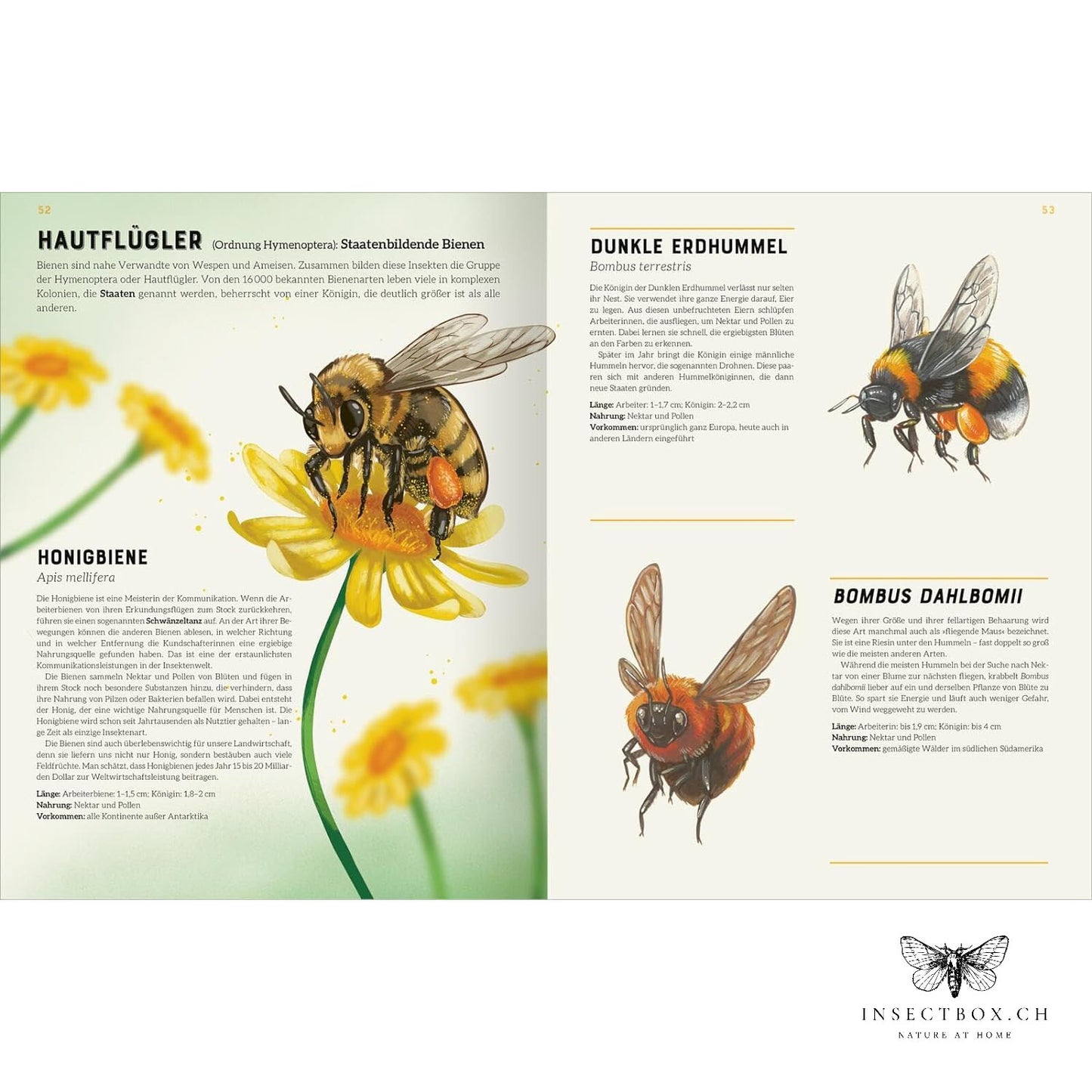 The big encyclopedia of insects (available again)