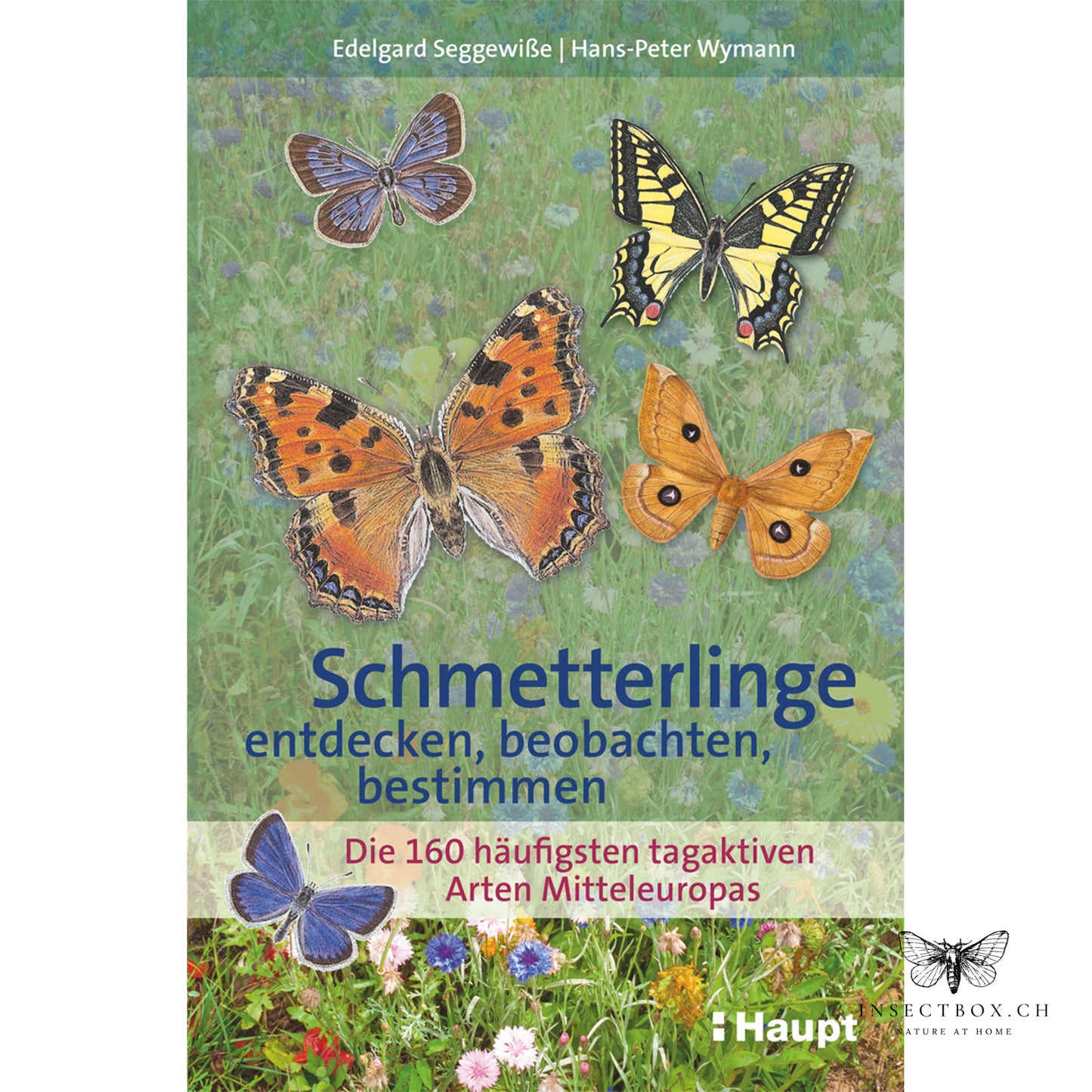 Discover, observe and identify butterflies