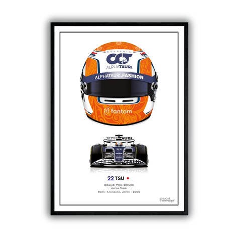 Formula 1 Helmets Poster, Racing Drivers, Winners | Decorative Print without Frame